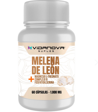 LA MAGIA DEL HONGO, MELENA DE LEON